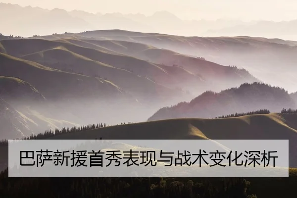 巴萨新援首秀表现与战术变化深析